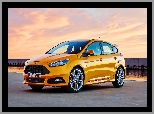 2019, Żółty, Ford Focus ST