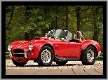 Ford, AC Cobra, Czerwony, Shelby